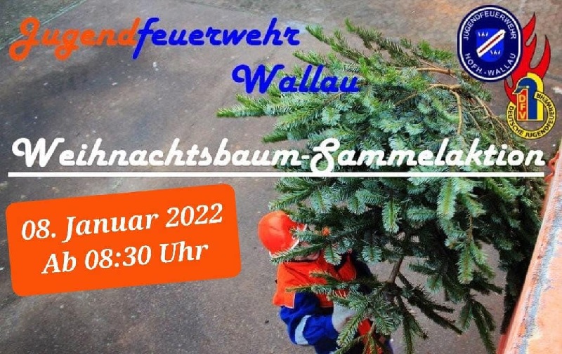 Weihnachtsbäume werden in Wallau abgeholt