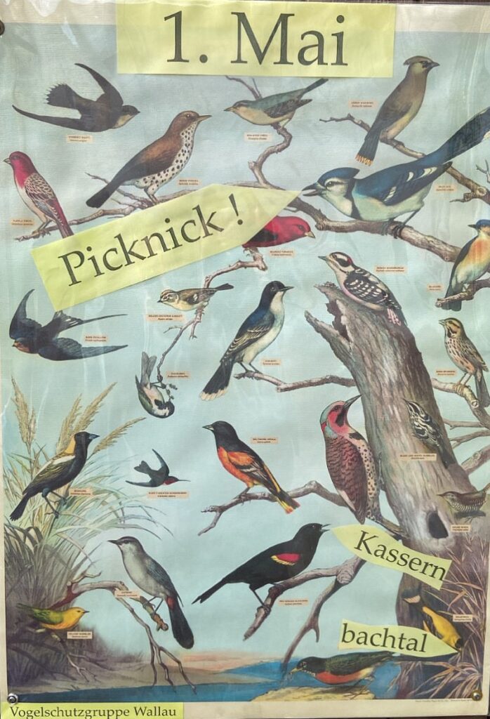 Veranstaltungsplakat Picknick Wallauer Vogelschutzverein