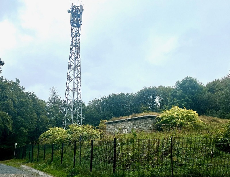 Auch im Herbst ist der Bärenklau bei Kontakt mit der für Menschen gefährlich.